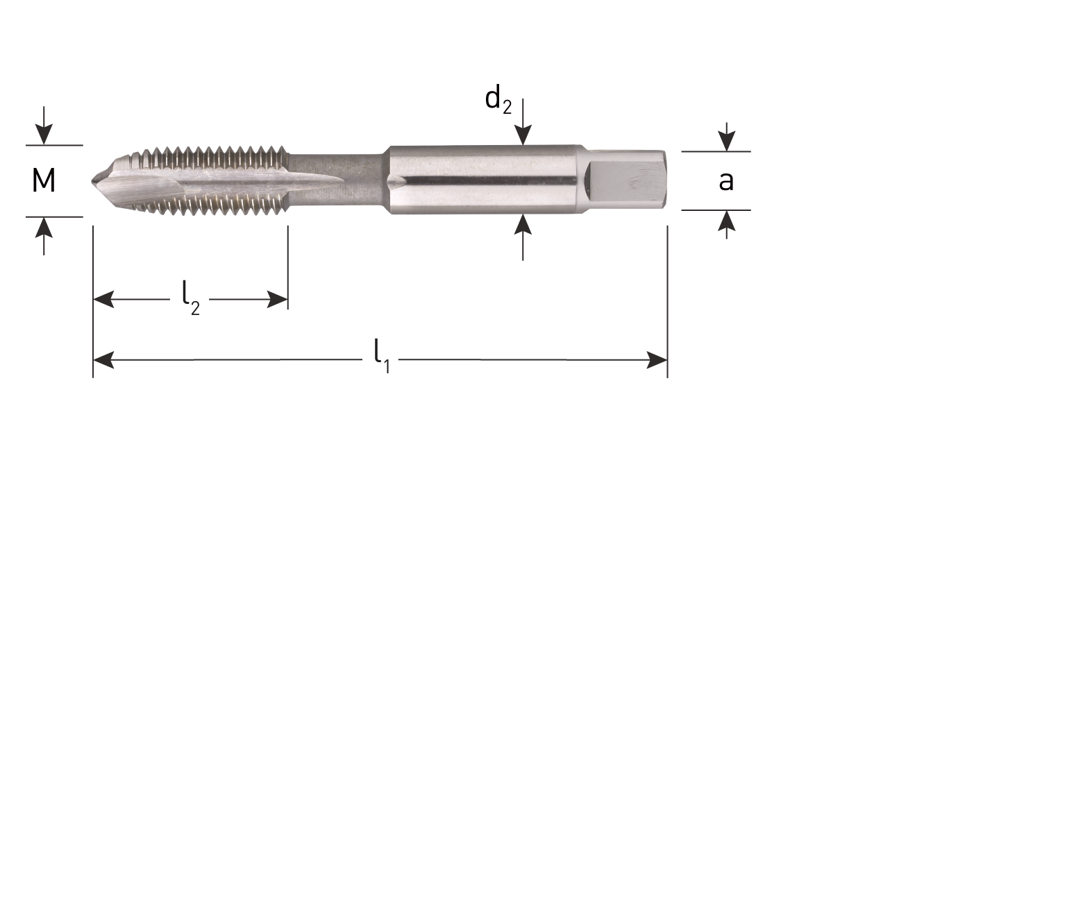HSS-E Maschinengewindebohrer, metrisch, kurz