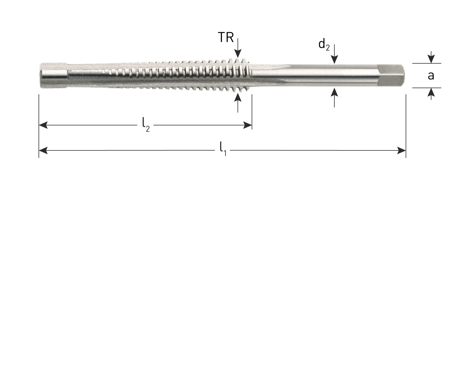 HSS-E Machine tap, Trapezium (TR), gun